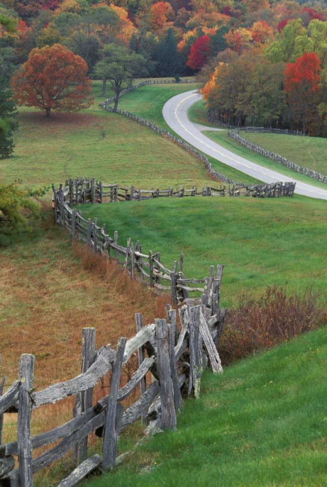 NC, Rail fence and country road in fall landscape art print by Nancy Rotenberg for $57.95 CAD